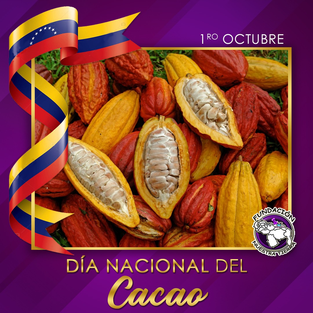 Este 1 de octubre celebramos el "Día nacional del Cacao" por ¡Todo lo alto!